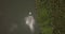 Aerial top view of little white boat sailing along beautiful calm jungle river with sun reflections near rainforest bank