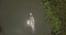 Aerial top view of little white boat traveling slow along beautiful calm jungle river with sun reflections in wilderness