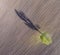 Aerial top view of a lone green tree with its shadow on a cultivated field on a sunny day