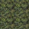 Aerial top view of lush jungle vegetation and palm trees. AI generative illustration