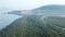 Aerial top view of mangrove trees.