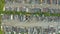 Aerial top view many lot semi truck cargo trailer without containers parking