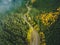 Aerial top view of misty forest with road in the mountains. Drone photography. Rainforest ecosystem and healthy environment concep