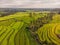 Aerial top view photo from flying drone of green rice fields in countryside Land with grown plants of paddy. Bali