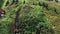 Aerial top view of racers riding a quad motorbike in the countryside through the muddy trail on green meadow. Stock