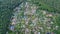 Aerial top view of residential area summer houses in forest from above, countryside real estate and dacha village in Ukraine