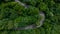 Aerial top view of road in green tree forest, Top view from drone of rural road, mountains, forest. Beautiful landscape with