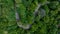 Aerial top view of road in green tree forest, Top view from drone of rural road, mountains, forest. Beautiful landscape with