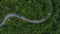 Aerial top view rural road in the green forest, Top view country road and green forest tree, Aerial view road in nature, Ecosystem