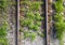 Aerial top view of the rusty rails crossing the green field in a summer day. Aerial view of railway track through countryside,