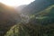 Aerial top view of summer green trees in forest with a splendid mountain river in Kazakhstan