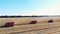 Aerial top view. three big red combine harvester machines harvesting corn field in early autumn. tractors filtering