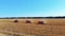 Aerial top view. three big red combine harvester machines harvesting corn field in early autumn. tractors filtering