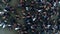 Aerial top view to horse herd grazing on the wild green steppe