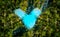 Aerial top view of turquoise lagoon shaped heart inside of tropical island. Love travel summer vacation concept