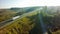 Aerial Top View of White Truck with Cargo Semi Trailer Moving on