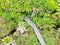 Aerial top view of wood bridge in deep tropical forest.