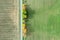 Aerial top view of yellow autumn trees growing along a country road between farmlands