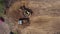 Aerial top view: yellow excavator pouring soil into tipper.