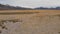 AERIAL: Tourists in an SUV driving down empty gravel road with a view of Rockies