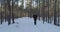 Aerial tracking of walking teen girl in winter pine forest in daytime