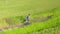 Aerial tracking on young sport runner man in off road running workout at a beautiful grass field landscape