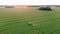 Aerial Tractor Trailer Sprays Mineral Fertilizer On Green Farm Field At Sunset