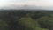 Aerial tropic forest at green hill in haze. Greenery plant on mount ranges, peaks at grass, trees