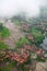 Aerial Tropical Landscape