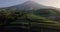 Aerial trucking of beautiful vegetable Plantation