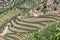 Aerial typical landscape of the highlands in the north of Portugal, levels for agriculture of vineyards, olive tree groves