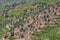 Aerial typical landscape of the highlands in the north of Portugal, levels for agriculture of vineyards, olive tree groves