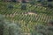 Aerial typical landscape of the highlands in the north of Portugal, levels for agriculture of vineyards, olive tree groves