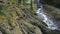 Aerial of uprooted forest in south tyrol after strong storm. Alpine valley