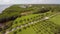 Aerial video of Deering Estate