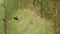 aerial video of a farmer mowing grass on farmland with a gasoline mower. Top-down view