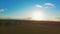 Aerial video flying over green grass field during sunset