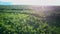 Aerial video of forest in summer at sunset. Countryside