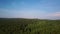 Aerial video of forest in summer at sunset. Countryside