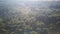 Aerial video of forest in summer at sunset. Countryside