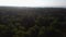 Aerial video of forest in summer at sunset. Countryside