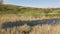 Aerial video of a lake with reed at low altitude.