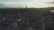 Aerial video of Paris, Drone photography, beautiful city,Old town, Flight over beautiful places, City top view, Panoramic view of