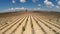 Aerial video Provence - lavender field in the Valensole ,France