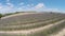 Aerial video Provence - lavender field in the Valensole ,France