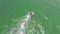 Aerial video waverunner jet ski in Miami