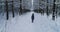 Aerial video of woman in warm clothes walking in the winter forest, top veiw.