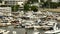 Aerial video yacht harbor West Palm Beach FL
