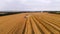 Aerial view 4k resolution several modern combine harvester collects ripe wheat leaving behind a cloud of dust on a wheat