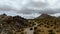 Aerial view of 4x4 car driving off road in the desert. Joshua Tree